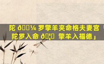 陀 🌼 罗擎羊夹命格夫妻宫「陀罗入命 🦋  擎羊入福德」
